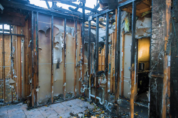 Professional Smoke Damage Removal technician working in Trenton, NJ